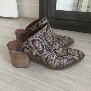 Snake Print Mules